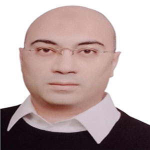 المهندس  محمد حمدي المهندس  محمد حمدي